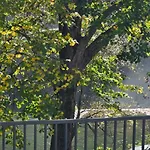 Apartament Nerina Stolac